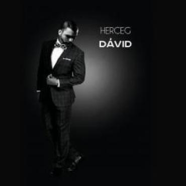 Herceg Dávid - Szerelem, szerelem