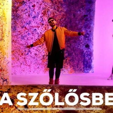 Horváth Tamás - A Szőlősbe