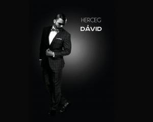 Herceg Dávid - Szerelem, szerelem