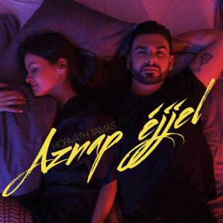 Horváth Tamás - Aznap Éjjel