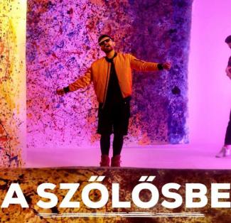 Horváth Tamás - A Szőlősbe